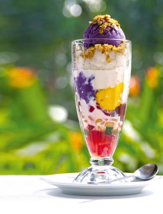 Halo Halo Special